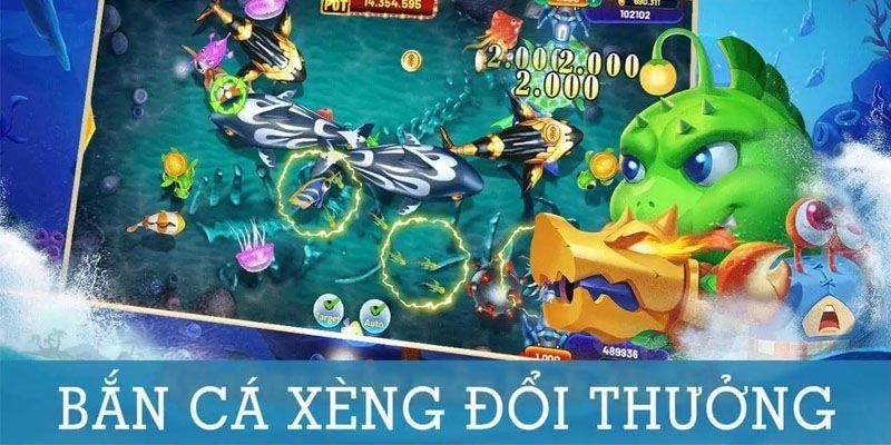 ban-ca-xeng